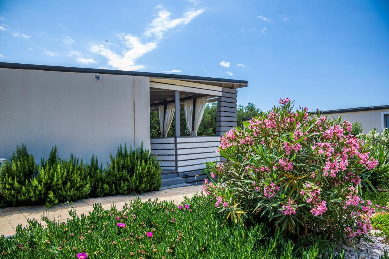 Rasin Mobile Homes ปาโกชตาเน ภายนอก รูปภาพ